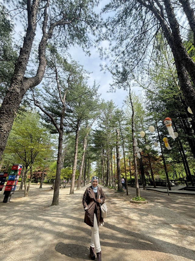 Going to Nami Island by Public Transport 😍