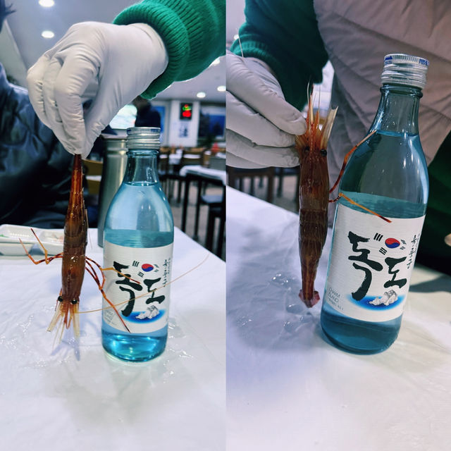 울릉도 바다 + 독도새우 + 선셋, 감성 폭발 여행기