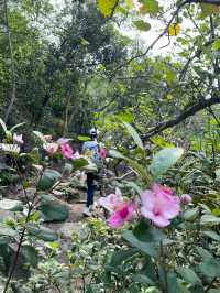 香港｜一路看海的快樂，大灘至海下郊遊徑 🌸