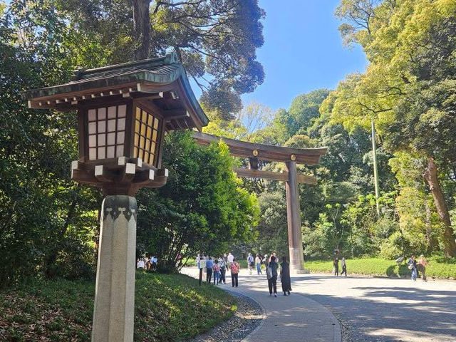 “Whispers of the Forest: Sakura Spirits of Meiji”
