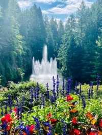 Butchart Gardens – A Garden That Stays in Your Heart