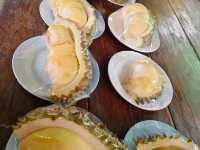 สวนสุภัทราแลนด์ ระยอง