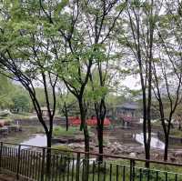 Yeouido Hangang Park (Seoul)