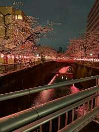Philosopher’s Path: A Serene Walk Through Kyoto’s Heart