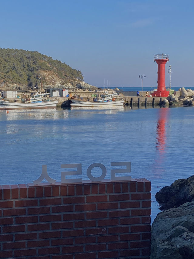 부산 1박 2일 여행코스 🩵
