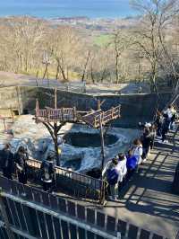 A Relaxed Day in Noboribetsu – Bears, Views & Volcanic Wonders