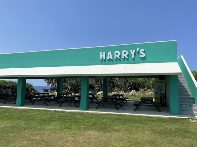 【宮古島】グルメ旅！話題の「HARRY'S Shrimp Truck」