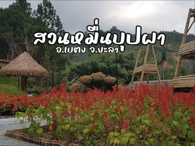 สีสันบนดอยใต้สุด สวนหมื่นบุปผา เบตง