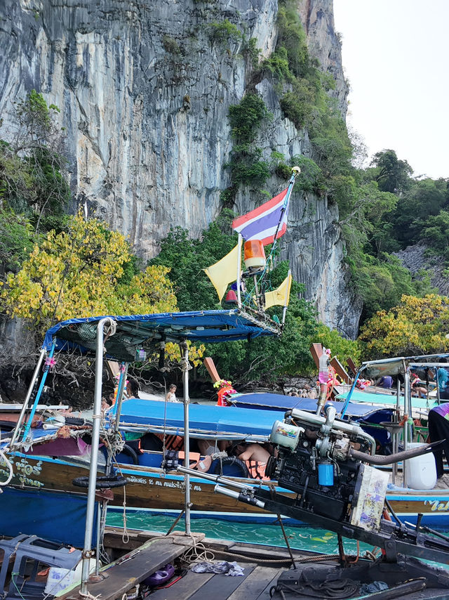 Phi phi paradise accommodations 