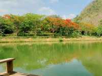 ภูกาษาวาเล่ย์ แม่สอด ทั้งที่พัก คาเฟ่ และออนเซ็น 