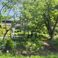 Stepping into the Serenity of Seoul Children's Grand Park 