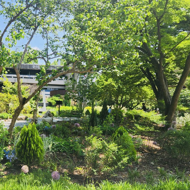 Stepping into the Serenity of Seoul Children's Grand Park 