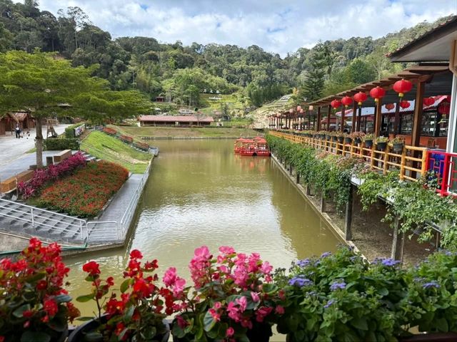 Winter Flower Garden, Betong - A Dreamy Floral Wonderland in Southern Thailand