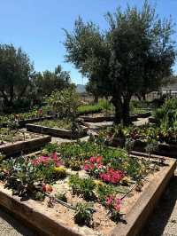 Valle de Guadalupe: Mexico’s Hidden Wine Country Gem