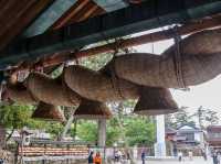 【島根県】  全国の神々が集う神秘の古社『出雲大社』⛩️