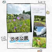 ～綠蔭迷宮～沙步公園端午踏青～