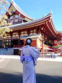 A Lovely Day in Asakusa, Tokyo