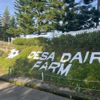 From Sea to Summit: A Sabah Journey Full of Flavors & Views