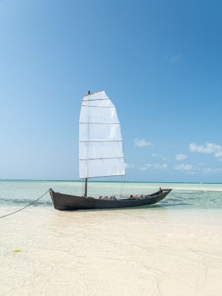 Sabani in Taketomi Island