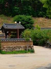 새벽 공기를 마시며 맞는 하루의 시작