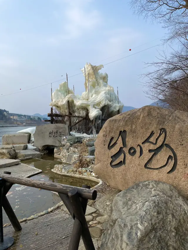 在江原道南怡島享受浪漫之旅！
