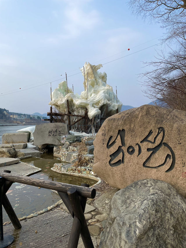 🚤 강원도 남이섬에서 즐기는 낭만 여행!