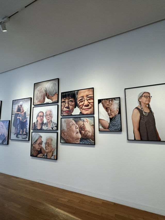 【直島】泊まれる美術館で現代アートと一体化「ベネッセハウスミュージアム」