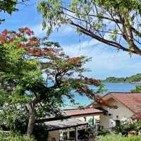 My “Koh Lan” (Coral Island) 6 Beaches + Travel Guide 🏝️