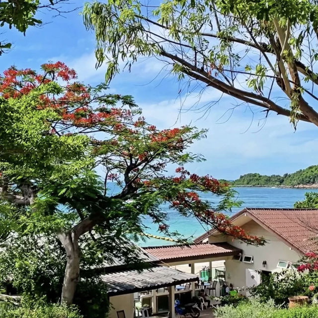 My “Koh Lan” (Coral Island) 6 Beaches + Travel Guide 🏝️