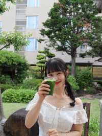 나고야 유럽정원 감성 카페, shoumok cafe 