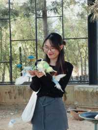 สวนสัตว์เล็กๆใกล้สนามบินขอนแก่น 🐱🐐🦫