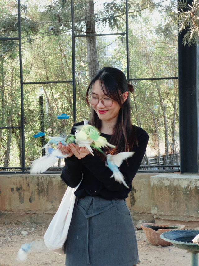 สวนสัตว์เล็กๆใกล้สนามบินขอนแก่น 🐱🐐🦫