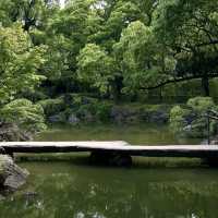 🌿 Thought Tokyo Couldn’t Get Any More Beautiful… Until I Found This Place