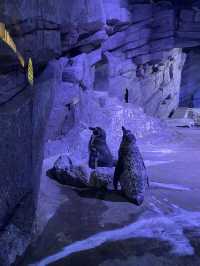 อควาเรีย ภูเก็ต (Aquaria Phuket) 