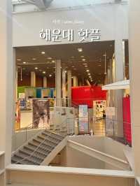 해운대 핫플 여행지 추천! (1편) 🌊🐳🦀