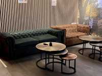 Cats Hostel Madrid Sol