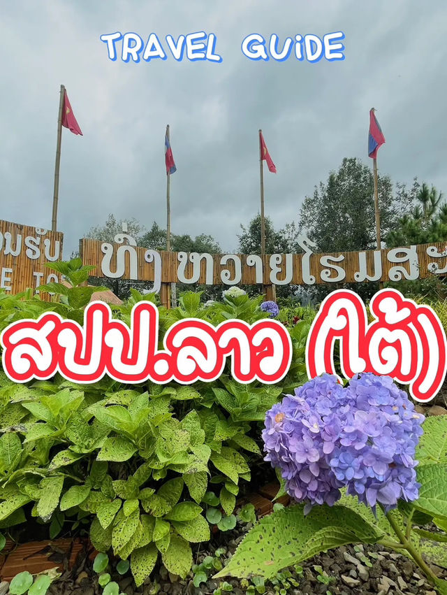 เยือนทุ่งหวาย @ลาวใต้ 2 วัน 1 คืน
