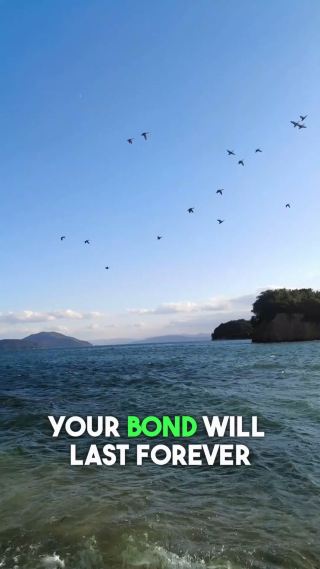 Will You Walk On This Sandbar?