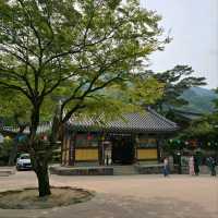 A Day at Baegyangsa Temple