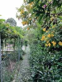 Kebun-Kebun Bangsar: Serene Urban Farm Oasis in the Heart of KL 
