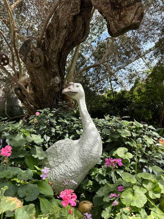 Flower Dome - Garden by the bay