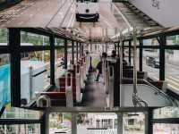 ทริปตะลุยฮ่องกง 4 วัน 3 คืน กับ 22 สถานที่ห้ามพลาด