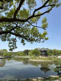 🌸 A Dreamy Birthday Moment at Gyeongbokgung Palace, Seoul 👘🎂