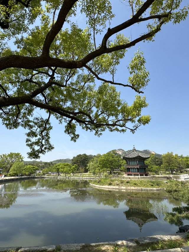 🌸 A Dreamy Birthday Moment at Gyeongbokgung Palace, Seoul 👘🎂