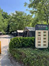 강동 그린웨이 가족 캠핑장