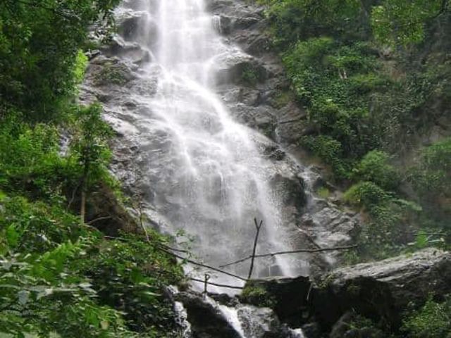Araku Valley – Andhra Pradesh’s Hidden Gem of Serenity and Greenery