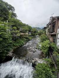 湯河原 万葉公園に行くべき5つの理由🇯🇵✈️🌎