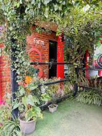 Strawberry Farm with a Whimsical Twist 