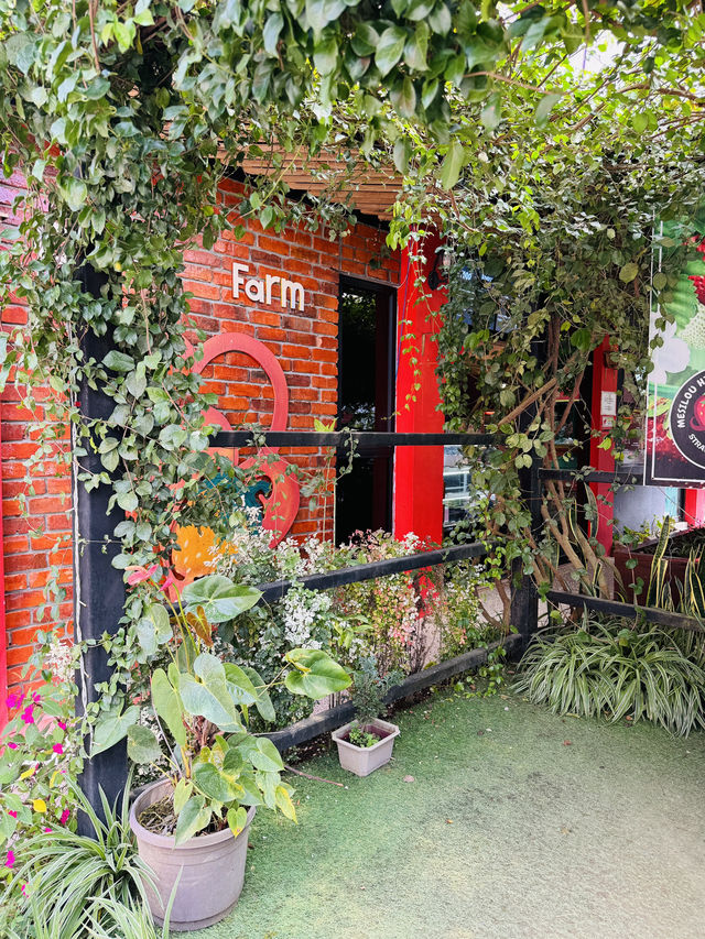 Strawberry Farm with a Whimsical Twist 