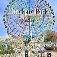 Osaka Steal: The Secret Local Deal! 💰🎢